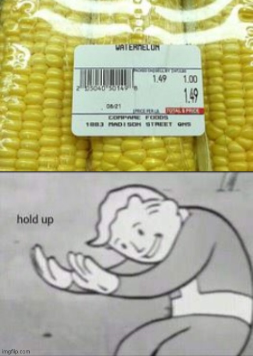 corn-mellon | image tagged in mistakes | made w/ Imgflip meme maker