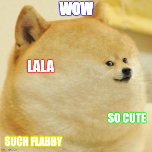 fat doge wow | WOW; LALA; SO CUTE; SUCH FLABBY | image tagged in fat doge wow | made w/ Imgflip meme maker