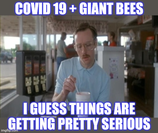 So I Guess You Can Say Things Are Getting Pretty Serious Meme | COVID 19 + GIANT BEES I GUESS THINGS ARE GETTING PRETTY SERIOUS | image tagged in memes,so i guess you can say things are getting pretty serious | made w/ Imgflip meme maker