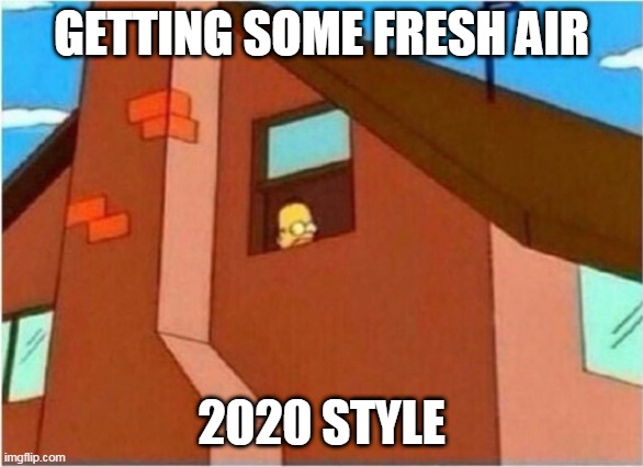 Homer Window | GETTING SOME FRESH AIR; 2020 STYLE | image tagged in homer window,the simpsons,homer simpson,covid-19,2020,lockdown | made w/ Imgflip meme maker