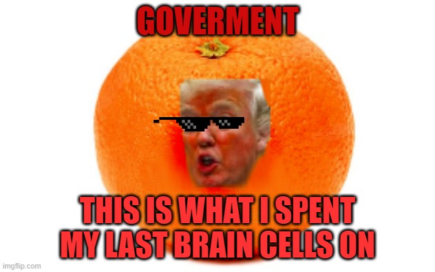 GOVERMENT; THIS IS WHAT I SPENT MY LAST BRAIN CELLS ON | made w/ Imgflip meme maker