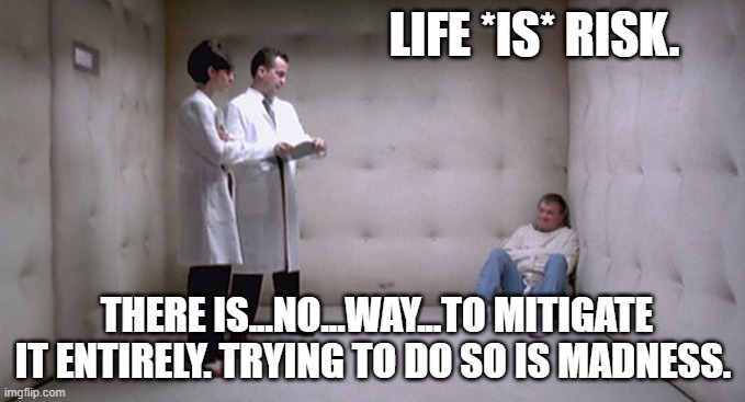 "If It Saves Just One Life!!" | LIFE *IS* RISK. THERE IS...NO...WAY...TO MITIGATE IT ENTIRELY. TRYING TO DO SO IS MADNESS. | image tagged in strait jacket padded room | made w/ Imgflip meme maker