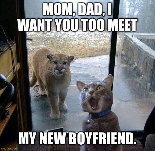 House Cat with Mountain Lion at the door | MOM, DAD, I WANT YOU TOO MEET; MY NEW BOYFRIEND. | image tagged in house cat with mountain lion at the door | made w/ Imgflip meme maker