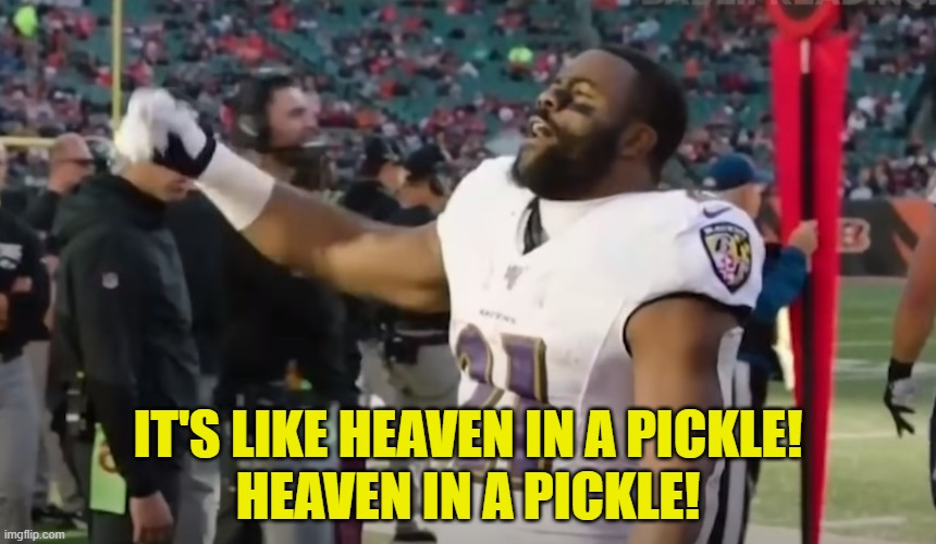 IT'S LIKE HEAVEN IN A PICKLE!
HEAVEN IN A PICKLE! | made w/ Imgflip meme maker