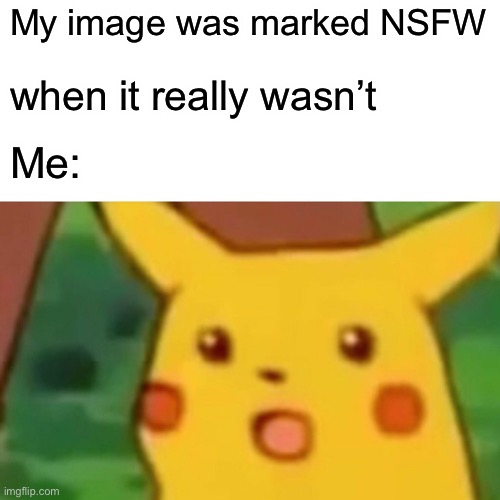 Surprised Pikachu Meme | My image was marked NSFW; when it really wasn’t; Me: | image tagged in memes,surprised pikachu | made w/ Imgflip meme maker