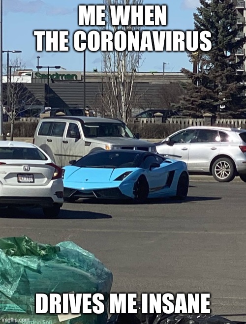 2020 Edmonton Douchebag of Year Winner | ME WHEN THE CORONAVIRUS; DRIVES ME INSANE | image tagged in bruh | made w/ Imgflip meme maker