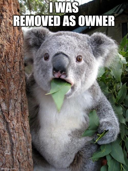 Complaint  |  I WAS REMOVED AS OWNER | image tagged in memes,surprised koala | made w/ Imgflip meme maker