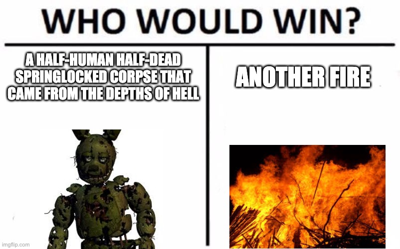 Why FNaF doesn't make sense | A HALF-HUMAN HALF-DEAD SPRINGLOCKED CORPSE THAT CAME FROM THE DEPTHS OF HELL; ANOTHER FIRE | image tagged in memes,who would win | made w/ Imgflip meme maker