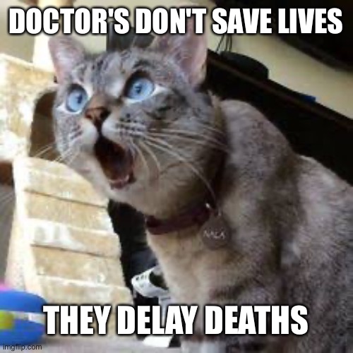 I wanna see this with Steve Harvey | DOCTOR'S DON'T SAVE LIVES; THEY DELAY DEATHS | image tagged in memes | made w/ Imgflip meme maker