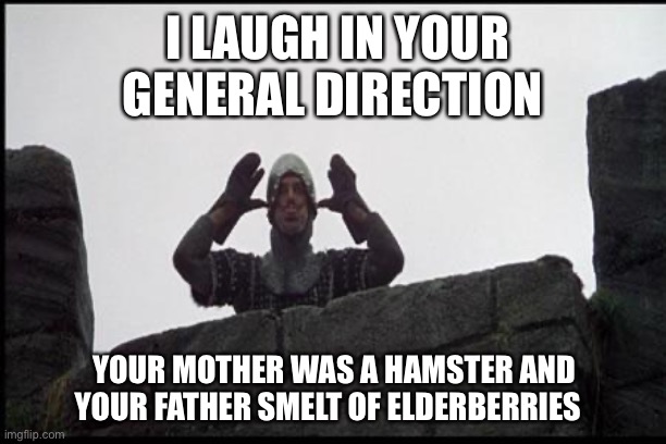 MONTY PYTHON GUARD | I LAUGH IN YOUR GENERAL DIRECTION; YOUR MOTHER WAS A HAMSTER AND YOUR FATHER SMELT OF ELDERBERRIES | image tagged in french taunting in monty python's holy grail,monty python,funny,laughing,lmao,holy grail | made w/ Imgflip meme maker