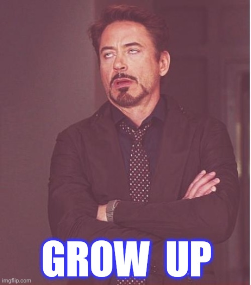 Face You Make Robert Downey Jr Meme | GROW  UP | image tagged in memes,face you make robert downey jr | made w/ Imgflip meme maker