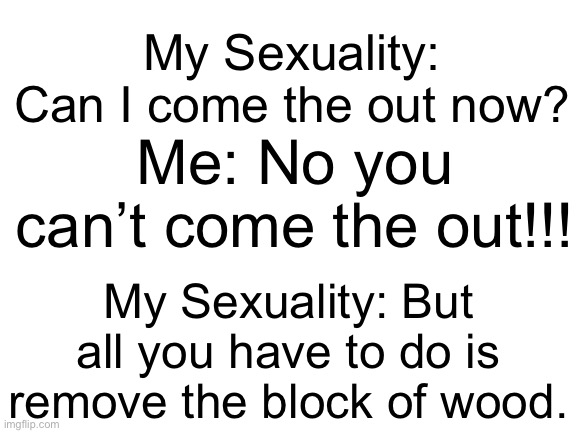 So true | My Sexuality: Can I come the out now? Me: No you can’t come the out!!! My Sexuality: But all you have to do is remove the block of wood. | image tagged in blank white template,lgbt,lgbtq | made w/ Imgflip meme maker