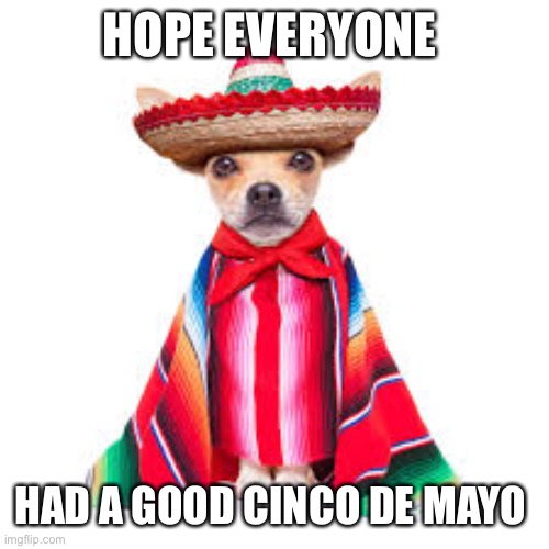 Cinco de Mayo | HOPE EVERYONE; HAD A GOOD CINCO DE MAYO | image tagged in cinco de mayo | made w/ Imgflip meme maker