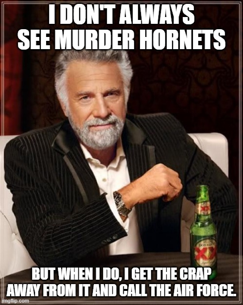 murder hornet reaction | I DON'T ALWAYS SEE MURDER HORNETS; BUT WHEN I DO, I GET THE CRAP AWAY FROM IT AND CALL THE AIR FORCE. | image tagged in memes,the most interesting man in the world,murder hornets,air force | made w/ Imgflip meme maker