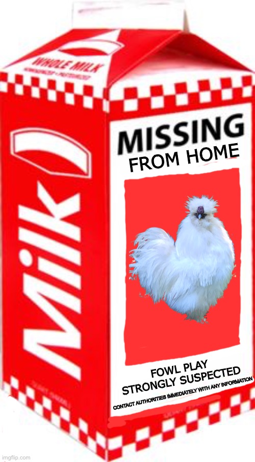 Missing | FROM HOME; FOWL PLAY 
STRONGLY SUSPECTED; CONTACT AUTHORITIES IMMEDIATELY WITH ANY INFORMATION | image tagged in missing | made w/ Imgflip meme maker