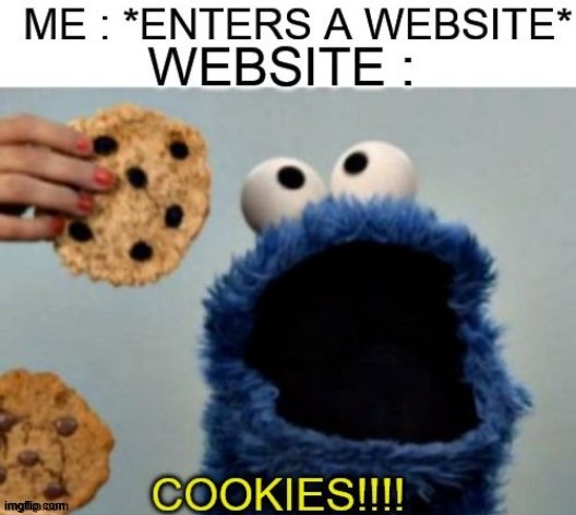 Cokiee monster | image tagged in cookies,cookie monster,internet | made w/ Imgflip meme maker