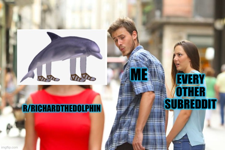 Hail Richard | ME; EVERY OTHER SUBREDDIT; R/RICHARDTHEDOLPHIN | image tagged in memes,distracted boyfriend | made w/ Imgflip meme maker