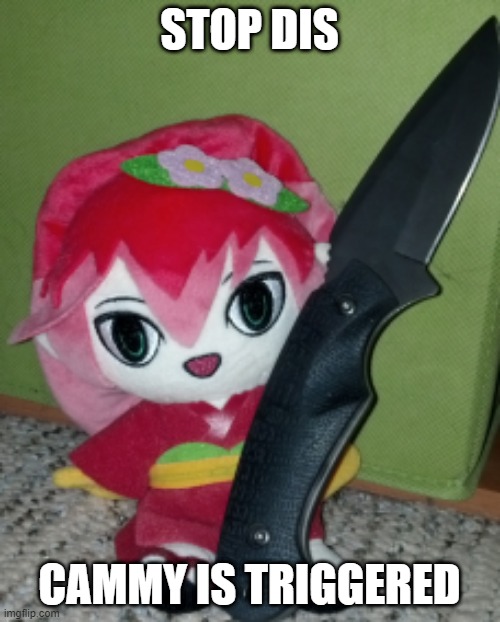 Knife Camellia | STOP DIS CAMMY IS TRIGGERED | image tagged in knife camellia | made w/ Imgflip meme maker
