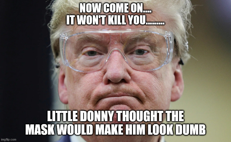 maskless | NOW COME ON....
IT WON'T KILL YOU......... LITTLE DONNY THOUGHT THE MASK WOULD MAKE HIM LOOK DUMB | image tagged in mask | made w/ Imgflip meme maker