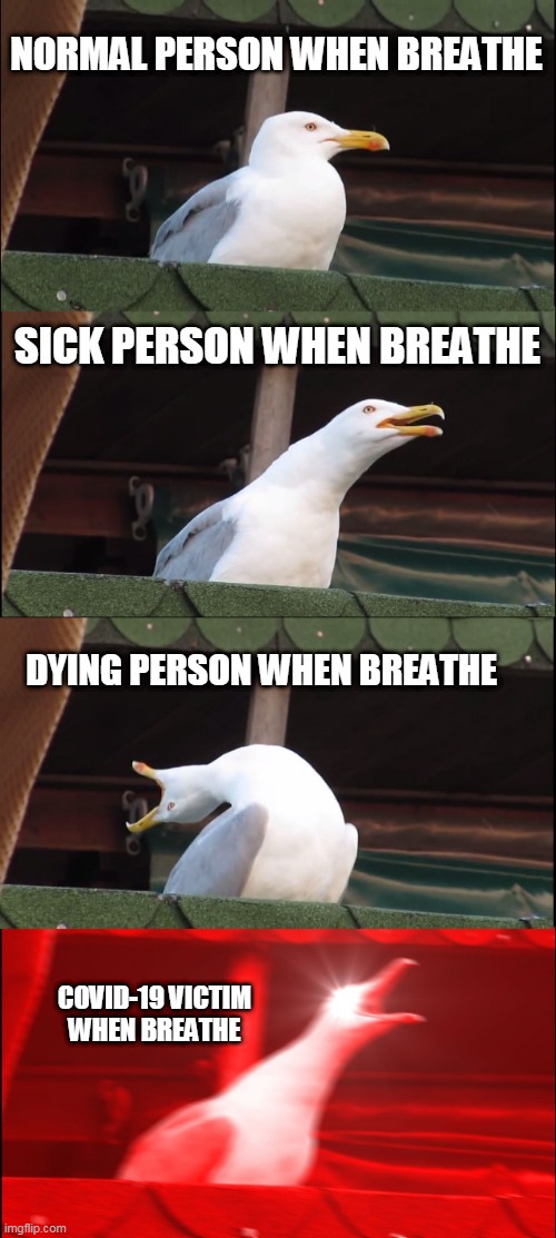 breathe | NORMAL PERSON WHEN BREATHE; SICK PERSON WHEN BREATHE; DYING PERSON WHEN BREATHE; COVID-19 VICTIM WHEN BREATHE | image tagged in memes,inhaling seagull | made w/ Imgflip meme maker