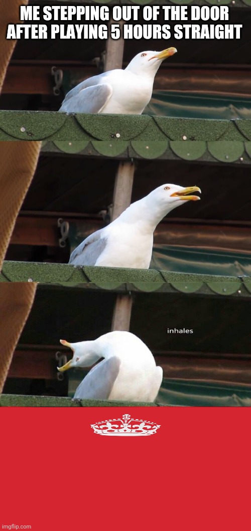 inhaling seagull 4 red | ME STEPPING OUT OF THE DOOR AFTER PLAYING 5 HOURS STRAIGHT | image tagged in inhaling seagull 4 red | made w/ Imgflip meme maker