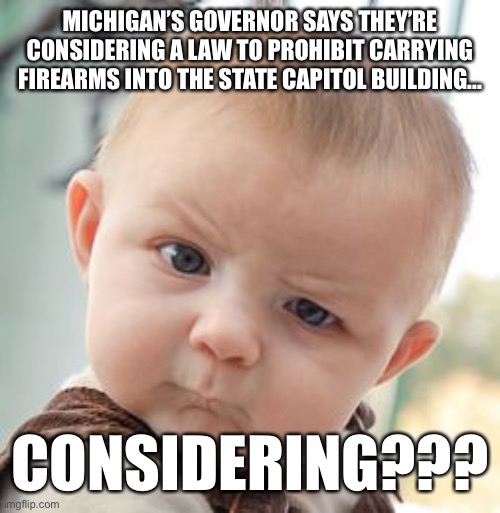 I’d consider them criminals already | MICHIGAN’S GOVERNOR SAYS THEY’RE CONSIDERING A LAW TO PROHIBIT CARRYING FIREARMS INTO THE STATE CAPITOL BUILDING... CONSIDERING??? | image tagged in memes,skeptical baby,michigan,firearms | made w/ Imgflip meme maker