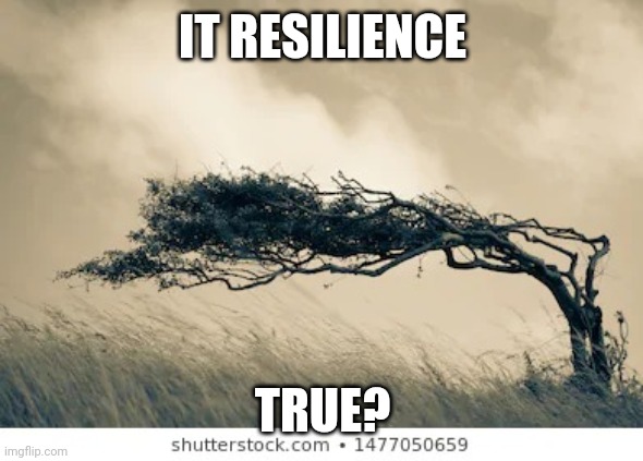 Resilience | IT RESILIENCE; TRUE? | image tagged in inspirational | made w/ Imgflip meme maker