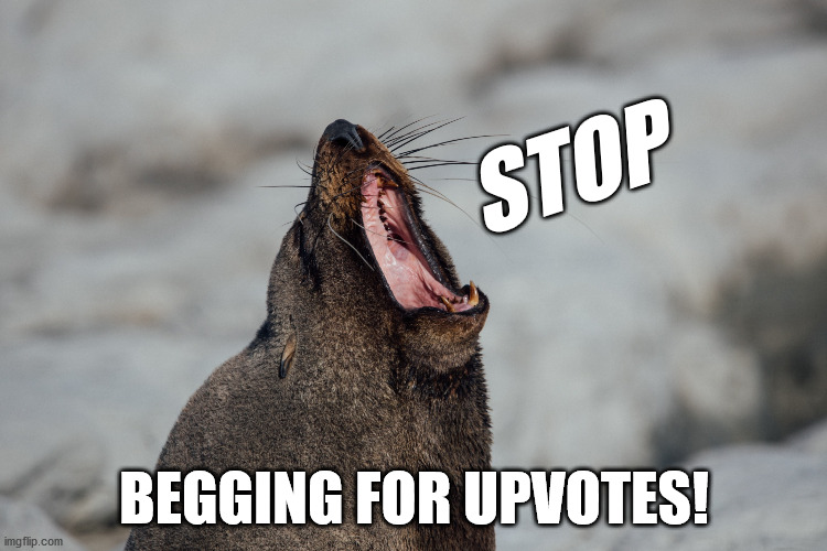 Stop begging | STOP; BEGGING FOR UPVOTES! | image tagged in seal,animal,yawning,yawn,screaming | made w/ Imgflip meme maker