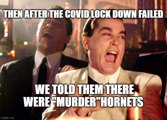 Good Fellas Hilarious | THEN AFTER THE COVID LOCK DOWN FAILED; WE TOLD THEM THERE WERE "MURDER"HORNETS | image tagged in memes,good fellas hilarious | made w/ Imgflip meme maker