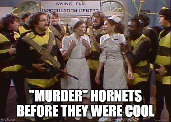 The Original Murder Hornets! | "MURDER" HORNETS BEFORE THEY WERE COOL | image tagged in snl,murder hornet,meme,pandemic | made w/ Imgflip meme maker