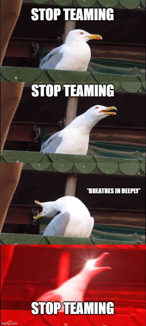 STOP TEAMING | STOP TEAMING; STOP TEAMING; *BREATHES IN DEEPLY*; STOP TEAMING | image tagged in memes,inhaling seagull | made w/ Imgflip meme maker