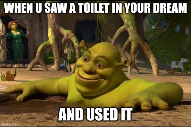 Shrek's dreams |  WHEN U SAW A TOILET IN YOUR DREAM; AND USED IT | image tagged in shrek,rofl,roflmao,toilet,dream,funny meme | made w/ Imgflip meme maker