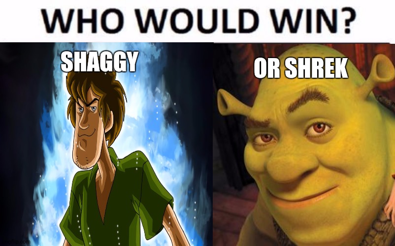 Hmm | SHAGGY; OR SHREK | image tagged in who would win | made w/ Imgflip meme maker