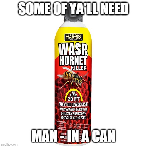 Murder Hornet | SOME OF YA'LL NEED; MAN - IN A CAN | image tagged in murder wasp,murder hornets,wasp,hornet,spray,man | made w/ Imgflip meme maker