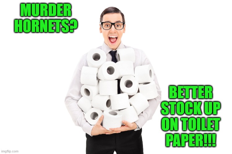 essentials | MURDER HORNETS? BETTER STOCK UP ON TOILET PAPER!!! | image tagged in toilet paper,funny,murder hornet | made w/ Imgflip meme maker
