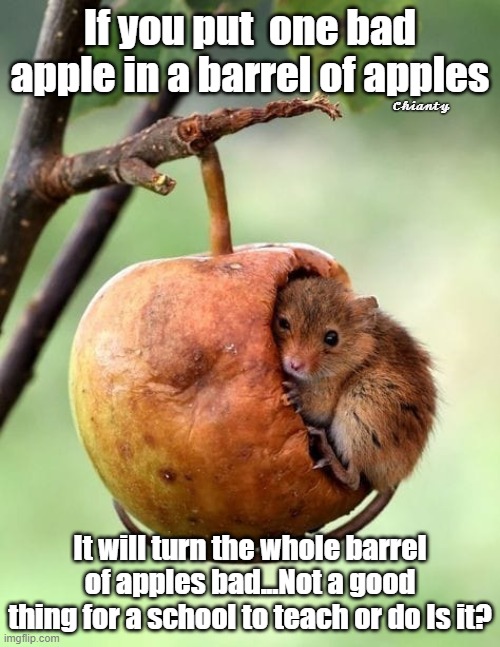 Bad | If you put  one bad apple in a barrel of apples; 𝓒𝓱𝓲𝓪𝓷𝓽𝔂; It will turn the whole barrel of apples bad...Not a good thing for a school to teach or do Is it? | image tagged in evil | made w/ Imgflip meme maker