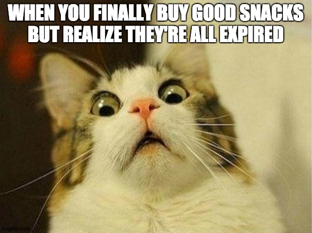 Scared Cat Meme | WHEN YOU FINALLY BUY GOOD SNACKS
BUT REALIZE THEY'RE ALL EXPIRED | image tagged in memes,scared cat | made w/ Imgflip meme maker