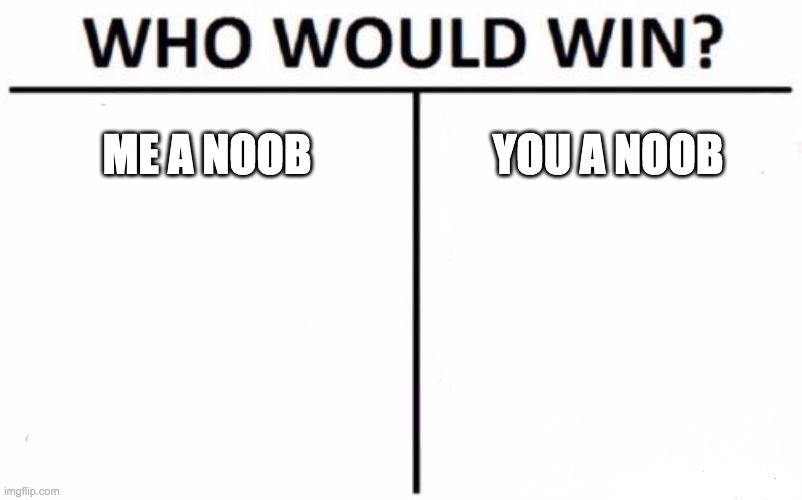 Who would win? | ME A NOOB; YOU A NOOB | image tagged in memes,who would win | made w/ Imgflip meme maker