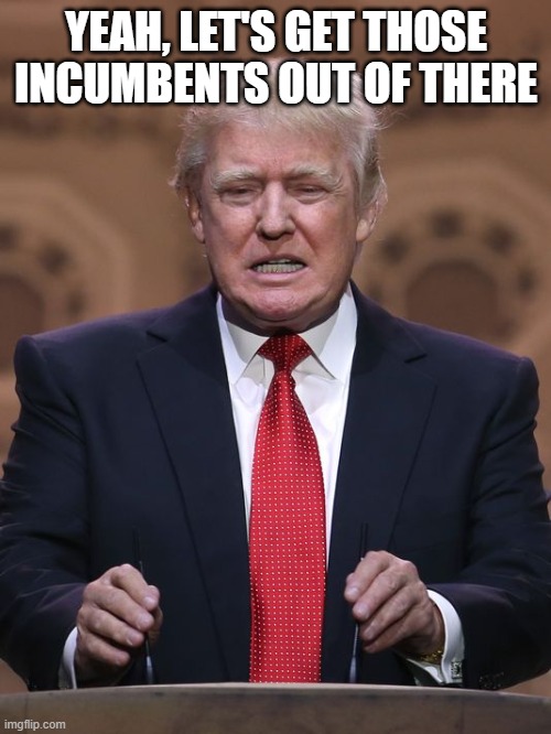 Donald Trump | YEAH, LET'S GET THOSE INCUMBENTS OUT OF THERE | image tagged in donald trump | made w/ Imgflip meme maker