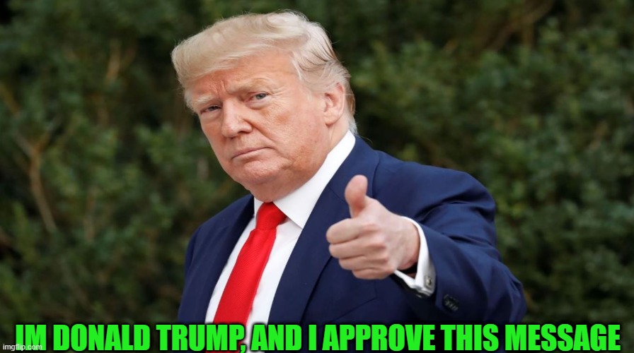 i like your style | IM DONALD TRUMP, AND I APPROVE THIS MESSAGE | image tagged in i like your style | made w/ Imgflip meme maker
