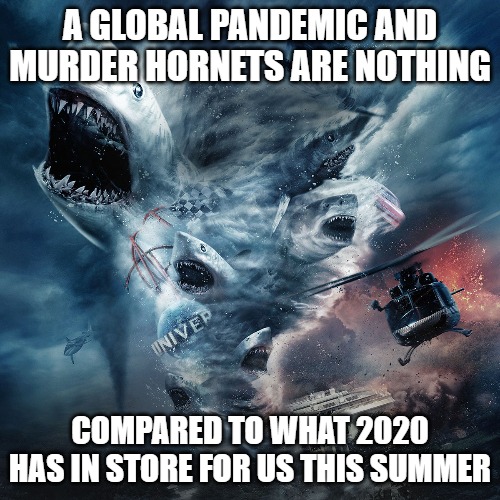 Sharknado 2020 | A GLOBAL PANDEMIC AND MURDER HORNETS ARE NOTHING; COMPARED TO WHAT 2020 HAS IN STORE FOR US THIS SUMMER | image tagged in sharknado,2020,coronavirus,murder hornets | made w/ Imgflip meme maker