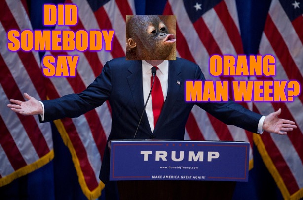 M-m-m-m-m-monkeyyy man!  Orange Man Theme Week - May 3rd to May 10th - A DrSarcasm and ArcMis Event | DID SOMEBODY SAY; ORANG MAN WEEK? | image tagged in donald trump,memes,orang man bad,monkey man | made w/ Imgflip meme maker