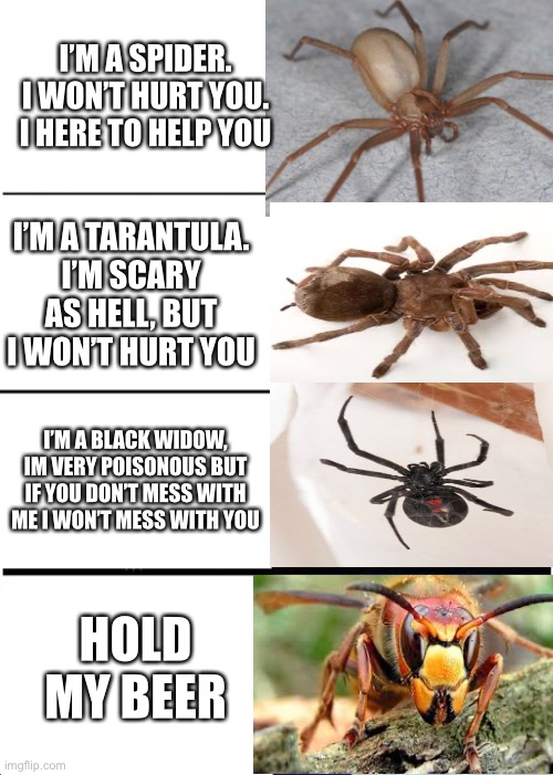 Expanding Brain Meme |  I’M A SPIDER. I WON’T HURT YOU. I HERE TO HELP YOU; I’M A TARANTULA. I’M SCARY AS HELL, BUT I WON’T HURT YOU; I’M A BLACK WIDOW, IM VERY POISONOUS BUT IF YOU DON’T MESS WITH ME I WON’T MESS WITH YOU; HOLD MY BEER | image tagged in memes,expanding brain | made w/ Imgflip meme maker
