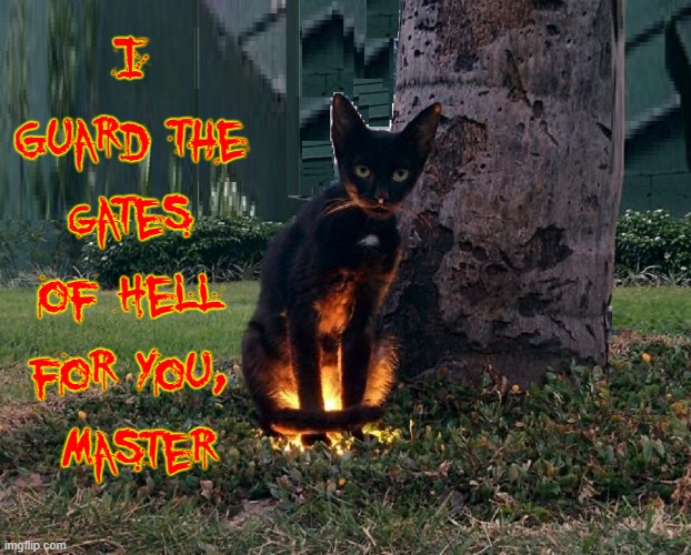 My Cat has taken the place of Cerebus, the Hound of Hell | I Guard the gates of Hell for You,  Master | image tagged in vince vance,cats,demonic,demons,funny cat memes,new memes | made w/ Imgflip meme maker