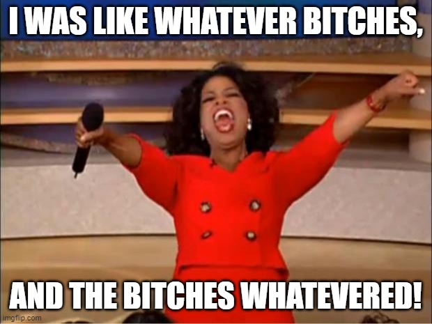 Whatever Bitches | I WAS LIKE WHATEVER BITCHES, AND THE BITCHES WHATEVERED! | image tagged in memes,oprah you get a | made w/ Imgflip meme maker