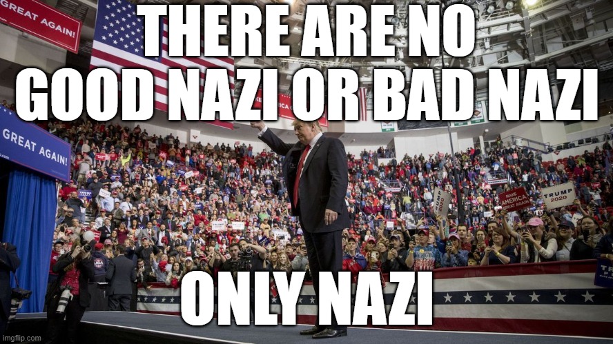 Choose Wisely | THERE ARE NO GOOD NAZI OR BAD NAZI; ONLY NAZI | image tagged in trump,nazi,racist,supporters,complicit,equal blame | made w/ Imgflip meme maker
