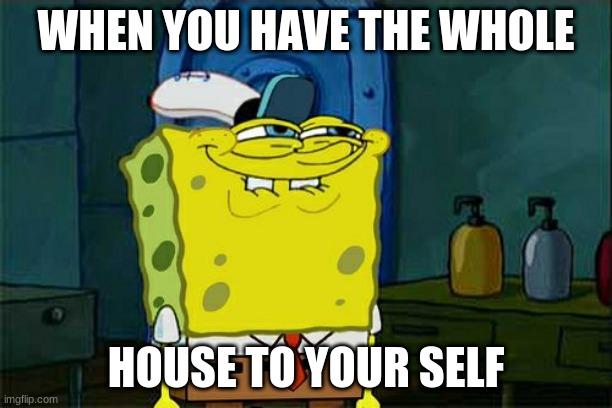 time to be evil | WHEN YOU HAVE THE WHOLE; HOUSE TO YOUR SELF | image tagged in memes,don't you squidward,home alone | made w/ Imgflip meme maker