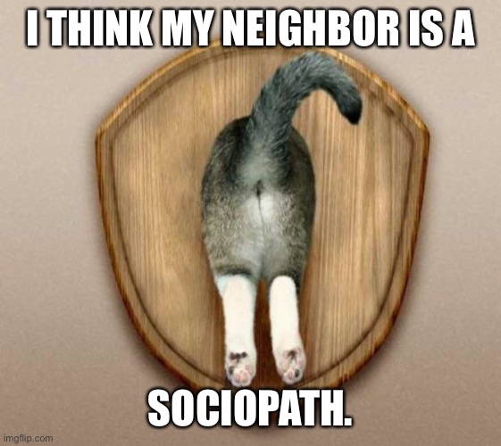 Cat-Ass-Trophy | I THINK MY NEIGHBOR IS A; SOCIOPATH. | image tagged in cat-ass-trophy | made w/ Imgflip meme maker