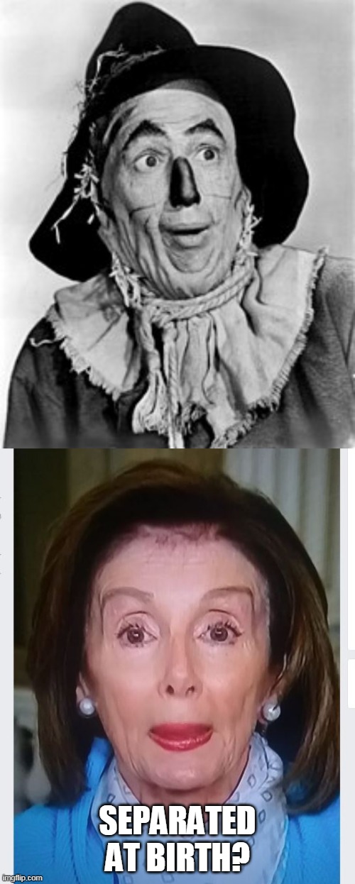 nice brows , you would think that no matter which one of her 7 mansions she was at, that they would have mirrors? | SEPARATED AT BIRTH? | image tagged in scarecrow oz,nancy pelosi,crack | made w/ Imgflip meme maker
