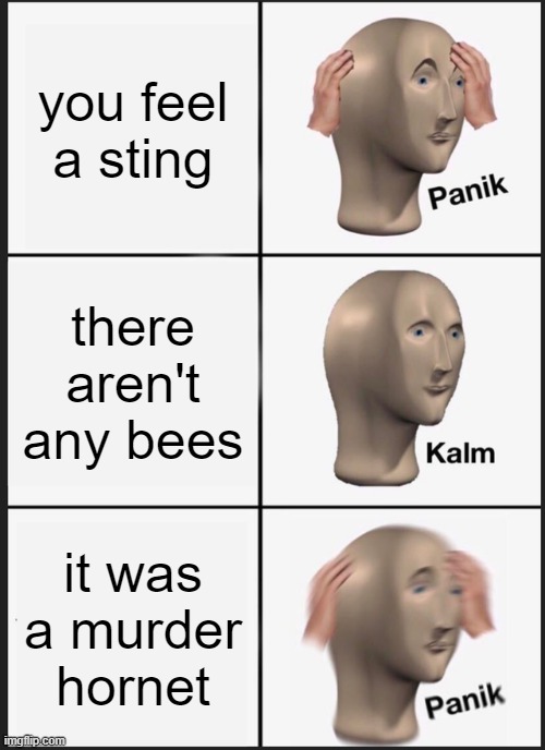 Fly, you fools! | you feel a sting; there aren't any bees; it was a murder hornet | image tagged in memes,panik kalm panik,murder hornet,murder hornets | made w/ Imgflip meme maker